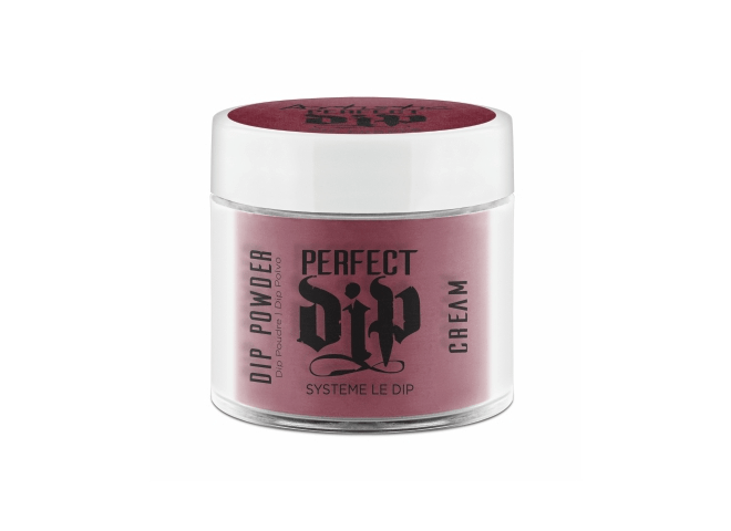 POUDRE PERFECT DIP SPICY BY NATURE 23G ARTISTIC